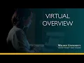 Virtual Overview