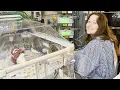 Download Lagu Our First Week as NICU Parents