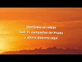 C. Tangana - Demasiadas Mujeres (Letra/Lyrics)