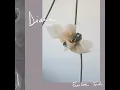 What You Get - DIANA