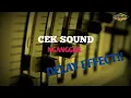 Lagu 🔴 INSTRUMEN DELAY EFFECT CEK SOUND _ NGANGGUR _ AYU CANTIKA