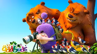🐦📸 Jeff Berburu Foto Burung Langka! | Oddbods | Kartun Lucu Kocak | @OddbodsIndonesia