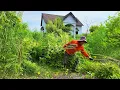 Download Lagu Returned After 5 Years… And he was shocked to find his family's mansion had turned into a jungle.