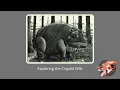 Exploring the Cryptid Wiki - Ep 1