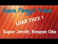 Download Lagu suara walet