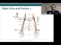 Ch 8 Appendicular Skeleton