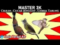 Download Lagu MASTER 3K Cililin, Cucak Jenggot, Gereja Tarung | Jeda Terapi Air