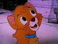 Download Lagu Opening to Homeward Bound II: Lost in San Francisco 1996 VHS