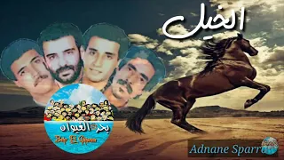 السهام الخيل Essiham El Khayel 
