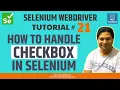 Selenium WebDriver Tutorial - How to Handle Checkbox in Selenium