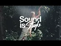 Bonobo - Terrapin (SaneBeats Remix)