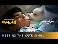 Lagu Arnav Vijay Meets The Cutest Dog Simba | Oh My Dog | Amazon Prime Video