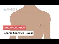 Download Lagu Coarse Crackles (Rales) - Lung Auscultation - Episode 3