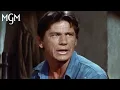 Best Of Charles Bronson Compilation MGM