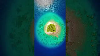 A few more photos of one of our favorite anchorages in Rangiroa. #rangiroa #frenchpolynesia ￼