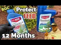 How to use BioAdvanced Tree Shrub Protect and Feed how to protect Landscape from bugs