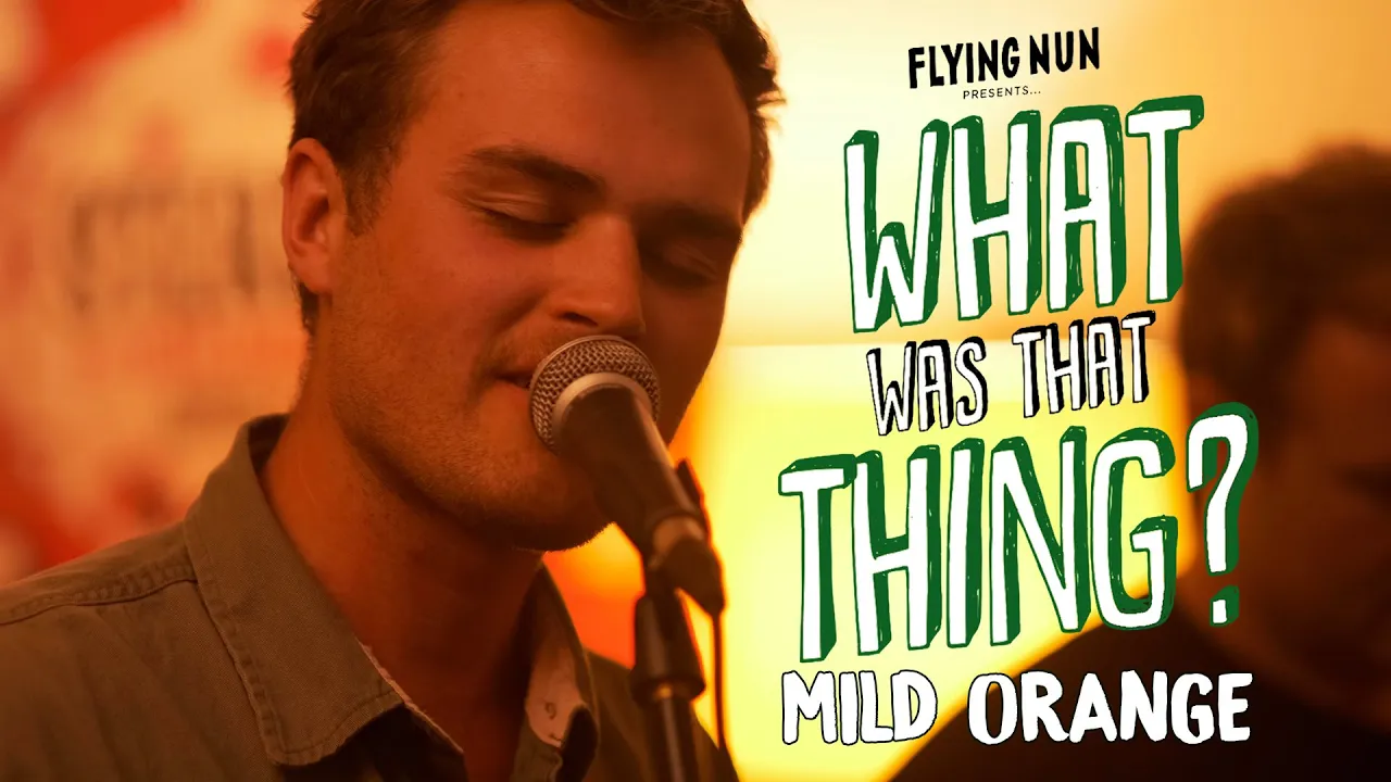 Mild Orange Perform 'Down By The River' Live at Flying Nun Shop