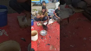 Https Vt Tiktok Com ZSHcaYvhF7o2n Woh6w 