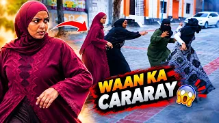 Public experiment TII UGO DARNEED MANTAY WAA LAYDILAY HANI IYO KIKI XANAQ ADUNKA😡