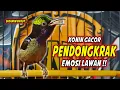 Download Lagu SUARA BURUNG KOLIBRI NINJA GACOR FULL ISIAN ROLL TEMBAK !! PANCINGAN KONIN BAHAN AGAR CEPAT EMOSI