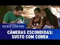 Download Lagu Susto com Cobra | Câmeras Escondidas (06/08/17)