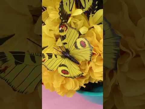 Rainbow Flowers and Butterflies!! 🌈🌻🦋 #colors #learning #littleangel