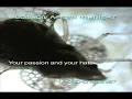 Kiss by London After Midnight [with lyrics]