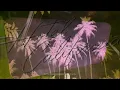 Hotel California - The Eagles (1976)