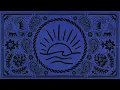 Niko Moon - THESE ARE THE DAYS (Animated Visualizer)