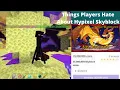 Things Most Players Hate About Hypixel Skyblock