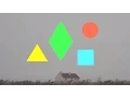Lagu Clean Bandit - Mozart's House (Polkadot Remix) [Official]
