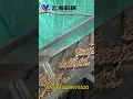 Download Lagu 1.5t/h-2t/h wood pellet machine china yunhan brand #pelletmachine #pelletizing #pelletmill #machine