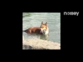 Jim-E Stack "Deadstream" (Official Music Video)