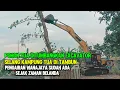 Download Lagu POHON TUA DI TUMBANGKAN EXCAVATOR‼️Pengairan Di Wanajaya Selang❗Sudah Ada Sejak Zaman Belanda