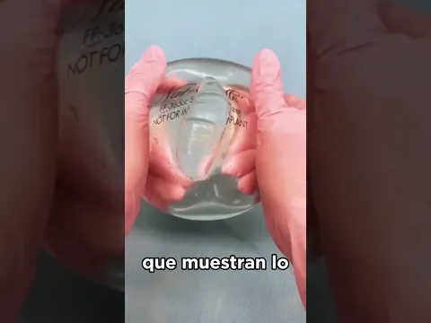 Por qué son tan resistentes? 🤔