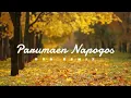 Download Lagu PARUMAEN NAPOGOS - REMIX BATAK | DRN