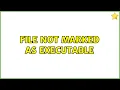Ubuntu File not marked as executable