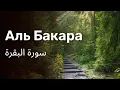 Download Lagu Sura Baqara Quran beautiful