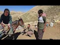 Download Lagu Familie probeert vooruitgang te boeken met de bouw van een huis door lammeren te verkopen