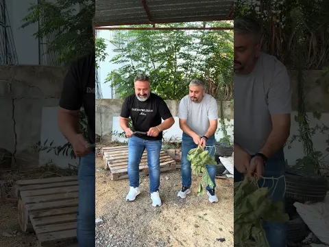 Koyun kaçtı 😂