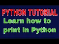 Print statement in Python Python Tutorial CBSE class 11