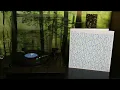 Download Lagu Mercury Program - A Data Learns The Language (2002) - Full Album Vinyl Rip