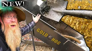 New From Gold Hog - Z3