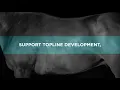 ProElite Topline Advantage