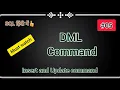Insert and Update command in SQL SQL Tutorial in Hindi SQL DML Command SQL Training