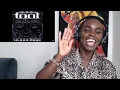 TOOL - The Pot (Audio) | REACTION