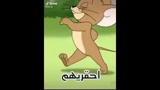طنشيهم  طنشيهم