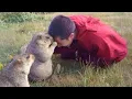 Lagu When Baby Animals and Humans Share the Cutest Moments Ever 😍