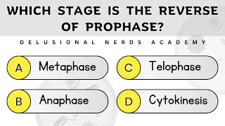 Mitosis Meiosis MCQs Easy to Hard Competitive Exams