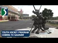 Youth hockey program coming to Saginaw